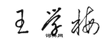 骆恒光王学梅草书个性签名怎么写