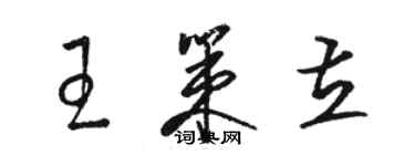 骆恒光王策立草书个性签名怎么写
