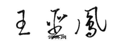 骆恒光王圣凤草书个性签名怎么写