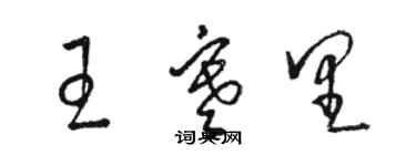 骆恒光王寒里草书个性签名怎么写