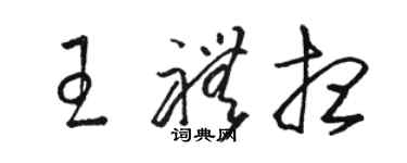 骆恒光王礼想草书个性签名怎么写