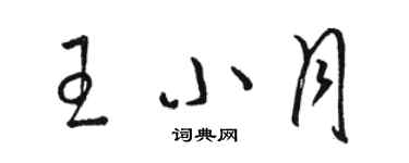 骆恒光王小月草书个性签名怎么写