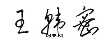骆恒光王韩密草书个性签名怎么写