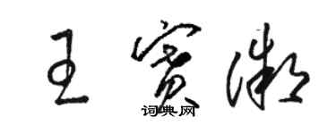 骆恒光王赛微草书个性签名怎么写