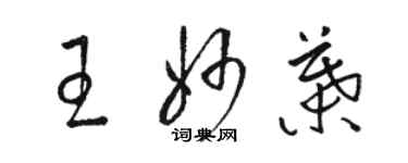 骆恒光王妙叶草书个性签名怎么写
