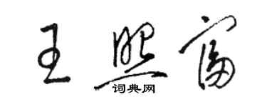 骆恒光王照富草书个性签名怎么写