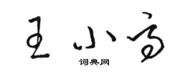 骆恒光王小高草书个性签名怎么写