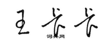 骆恒光王卡卡草书个性签名怎么写