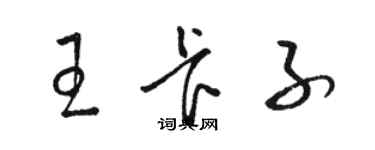 骆恒光王卡子草书个性签名怎么写