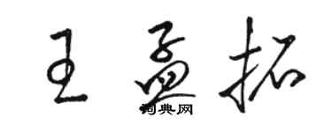 骆恒光王孟拓草书个性签名怎么写
