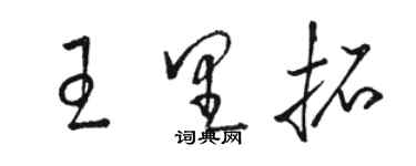 骆恒光王里拓草书个性签名怎么写