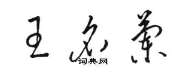 骆恒光王名兰草书个性签名怎么写