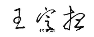 骆恒光王定想草书个性签名怎么写