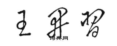 骆恒光王开习草书个性签名怎么写