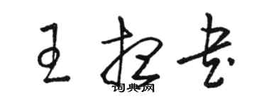 骆恒光王想书草书个性签名怎么写