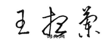 骆恒光王想兰草书个性签名怎么写