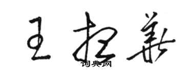 骆恒光王想华草书个性签名怎么写