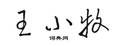 骆恒光王小牧草书个性签名怎么写
