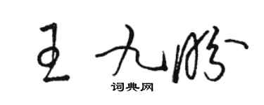 骆恒光王九盼草书个性签名怎么写