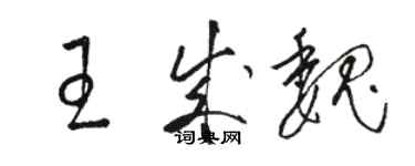 骆恒光王成魏草书个性签名怎么写