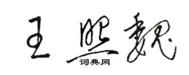 骆恒光王照魏草书个性签名怎么写