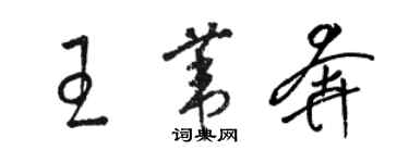 骆恒光王苇奔草书个性签名怎么写