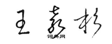 骆恒光王袁杉草书个性签名怎么写