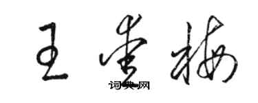 骆恒光王爱梅草书个性签名怎么写
