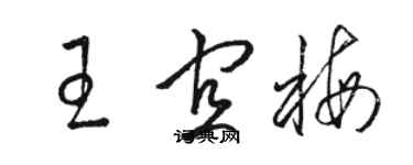 骆恒光王宜梅草书个性签名怎么写