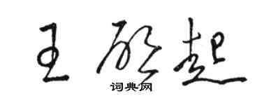 骆恒光王启起草书个性签名怎么写