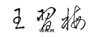 骆恒光王习梅草书个性签名怎么写