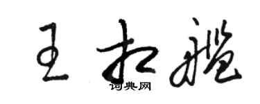 骆恒光王相舰草书个性签名怎么写