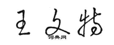骆恒光王文特草书个性签名怎么写