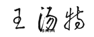 骆恒光王汤特草书个性签名怎么写