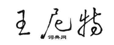 骆恒光王尼特草书个性签名怎么写