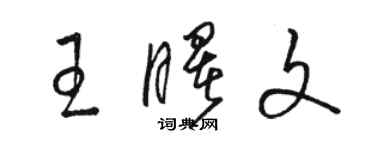 骆恒光王曙文草书个性签名怎么写