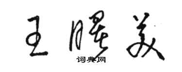 骆恒光王曙美草书个性签名怎么写