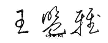 骆恒光王盟雅草书个性签名怎么写