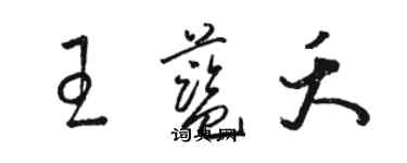 骆恒光王蓝夭草书个性签名怎么写