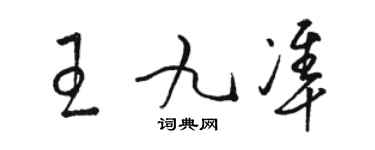骆恒光王九准草书个性签名怎么写