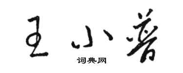 骆恒光王小普草书个性签名怎么写