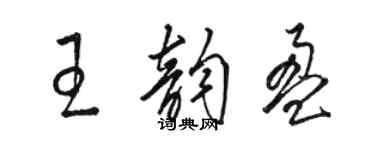 骆恒光王韵盈草书个性签名怎么写