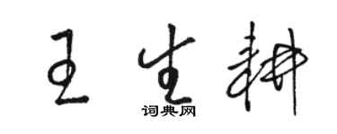 骆恒光王生耕草书个性签名怎么写