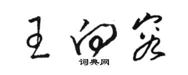 骆恒光王向容草书个性签名怎么写