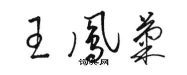 骆恒光王凤菊草书个性签名怎么写