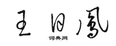 骆恒光王日凤草书个性签名怎么写