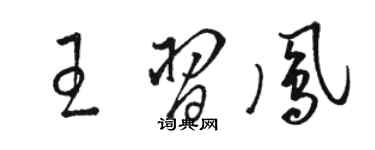骆恒光王习凤草书个性签名怎么写