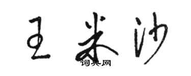 骆恒光王米沙草书个性签名怎么写