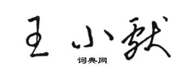 骆恒光王小献草书个性签名怎么写