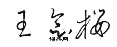 骆恒光王念樱草书个性签名怎么写